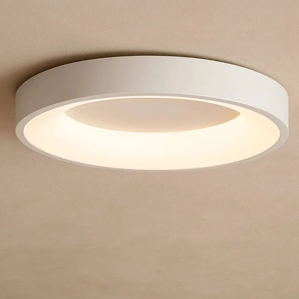 Luminaire Plafonnier - Design Épuré
