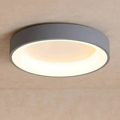 Luminaire Plafonnier - Design Épuré